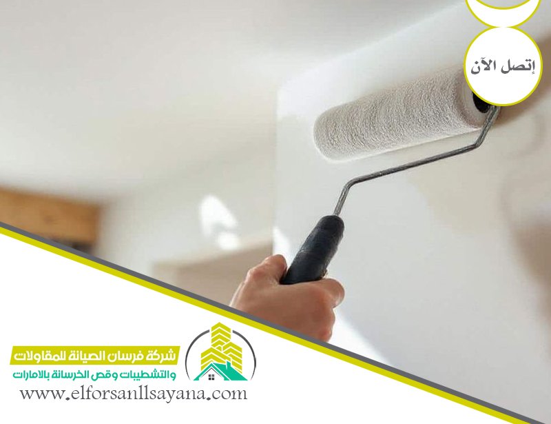 شركة أصباغ وديكورات