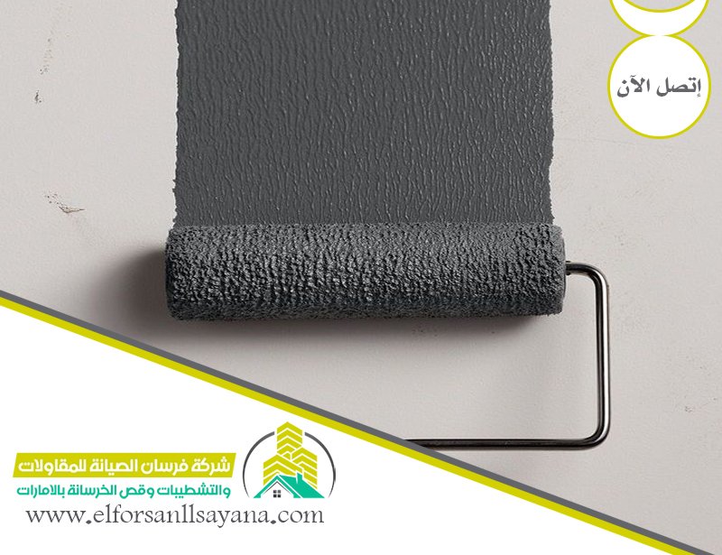 شركة أصباغ وديكورات بالامارات