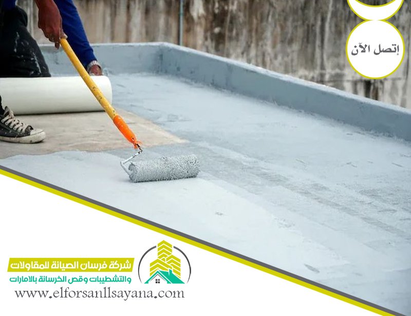 شركة عزل مائي في عجمان