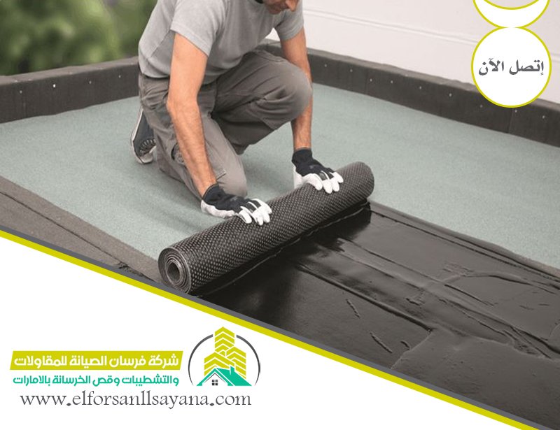 شركة عزل مائي في عجمان